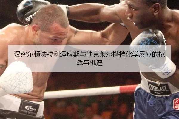 han-mi-er-dun-fa-la-li-shi-ying-qi-yu-lei-ke-lai-er-da-dang-hua-xue-fan-ying-de-tiao-zhan-yu-ji-yu-2-764.jpg