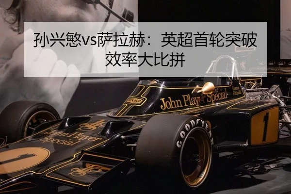 sun-xing-min-sa-la-he-ying-chao-shou-lun-tu-po-xiao-lv-da-bi-pin-3-321.jpg