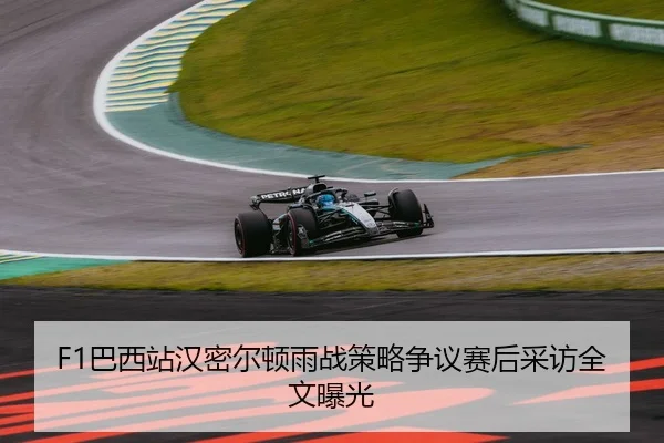 F1巴西站汉密尔顿雨战策略争议赛后采访全文曝光