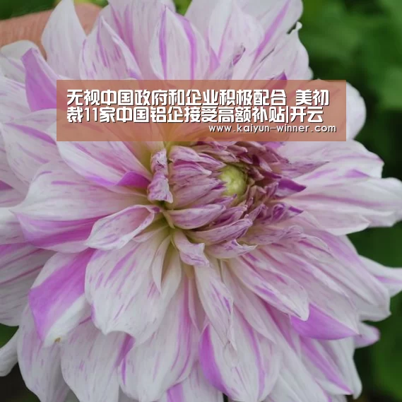 无视中国政府和企业积极配合 美初裁11家中国铝企接受高额补贴|开云官网